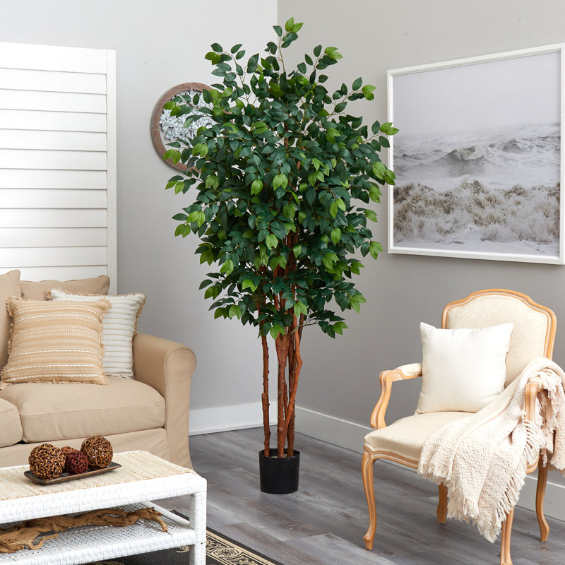 Charlton Home® 84" Artificial Ficus Tree in Pot & Reviews Wayfair